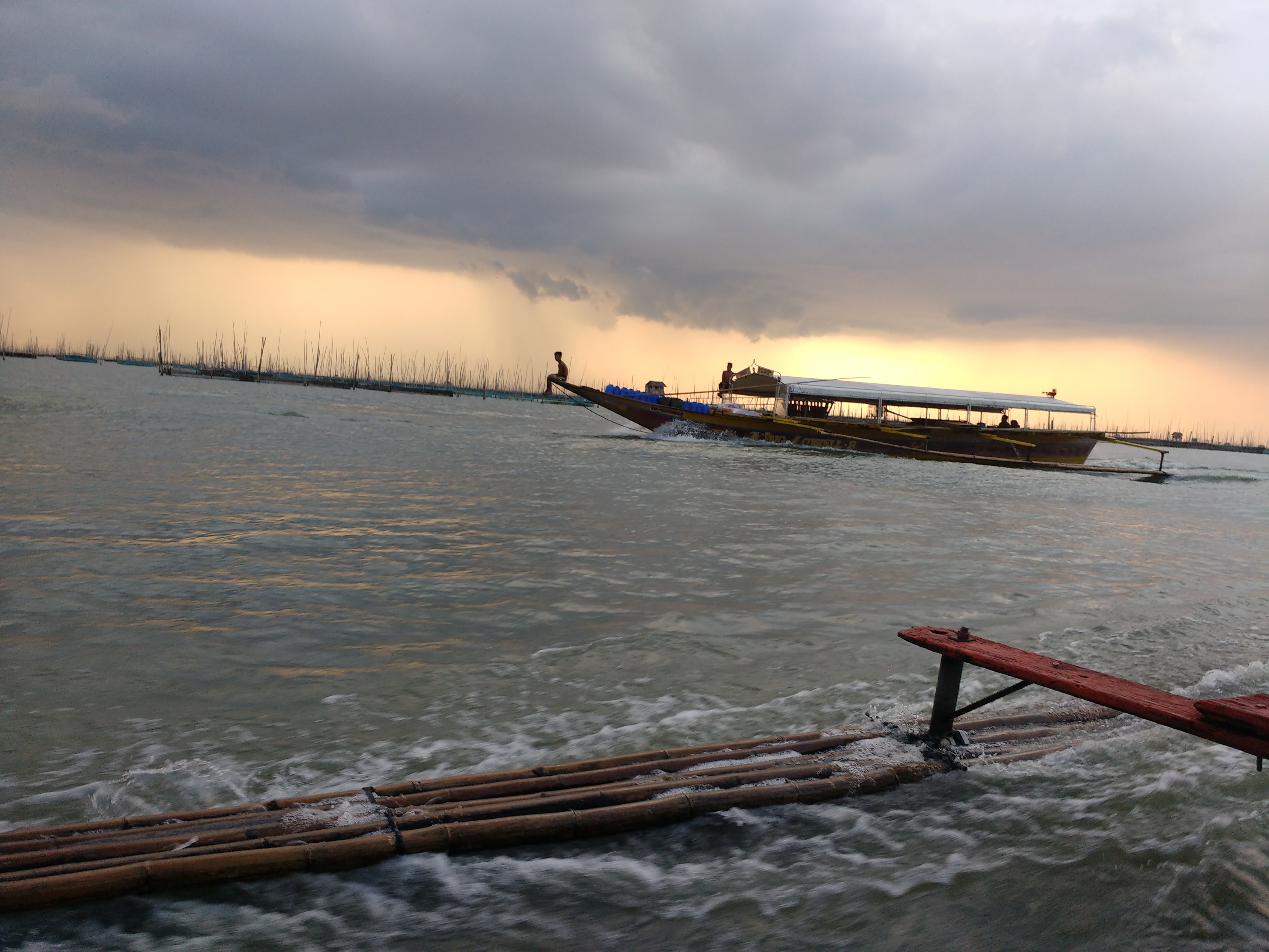 Talim Ferry.jpg